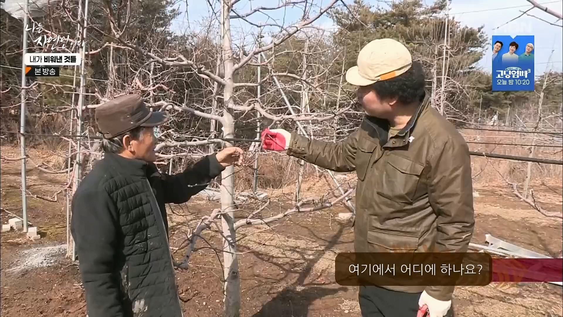 나는 자연인이다.E543.230301p.H264-F1RST.mp4_20230302_192657.650.jpg