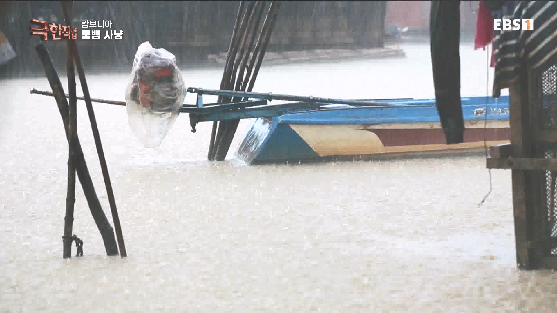 물뱀 사냥과 맹르로브숲의 게잡이 231021.mp4_20231025_211945.516.jpg