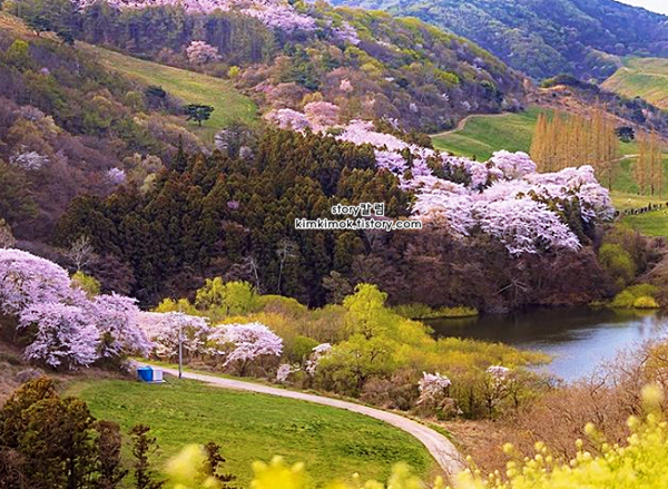 서산 가볼만한곳 베스트10