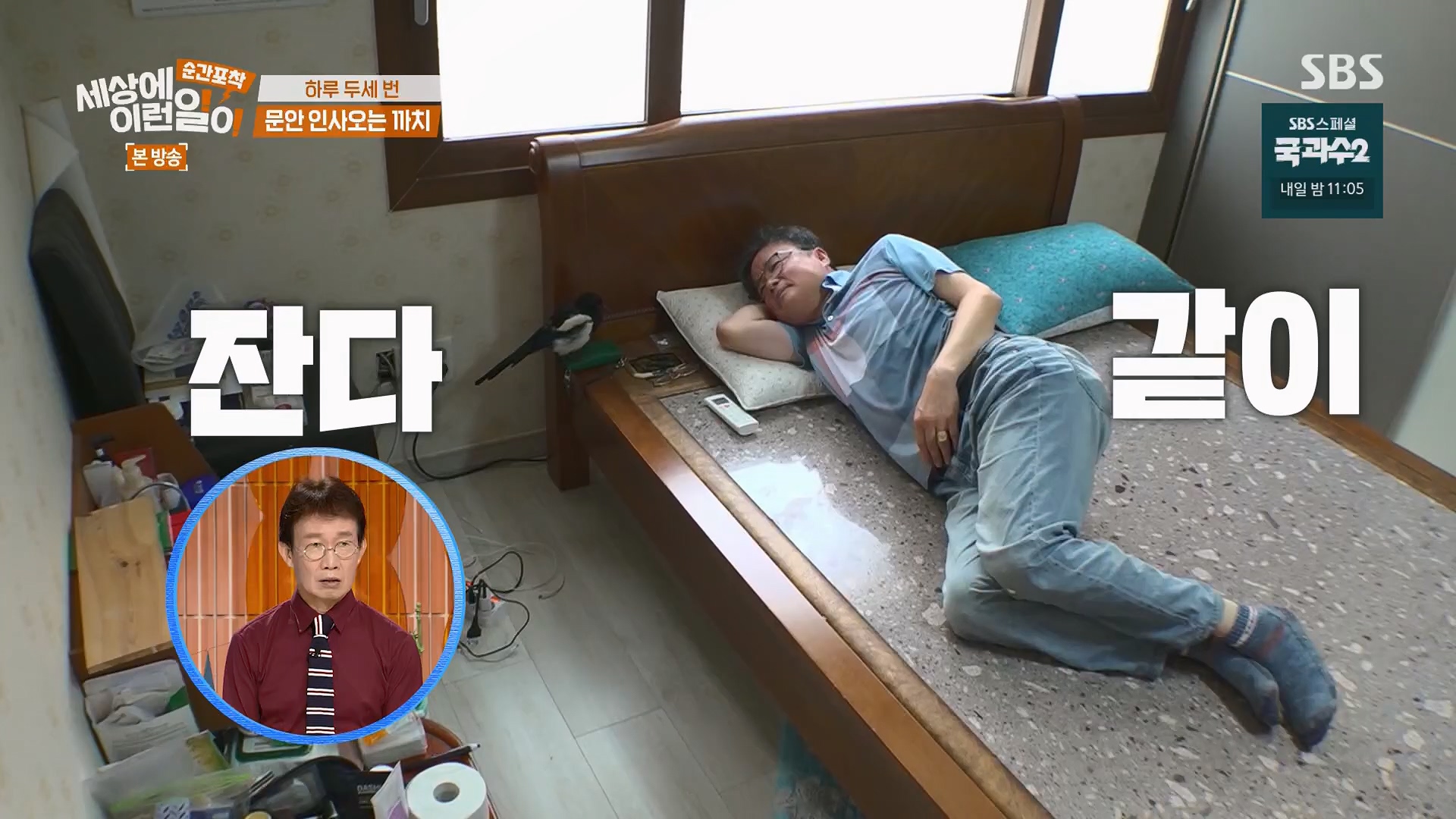 순간포착 세상에 이런일이.E1245.230909p.H264-F1RST.mp4_20230910_171524.963.jpg