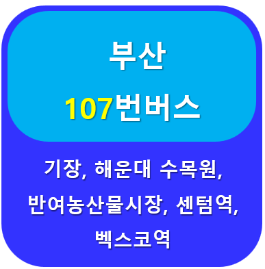 부산107번버스