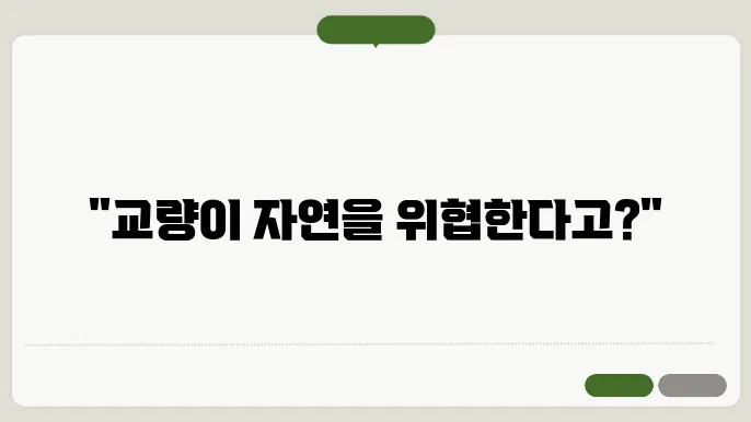 교량의 환경 영향 평가 사진