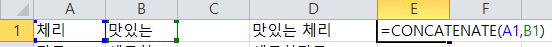 CONCATENATE 사용
