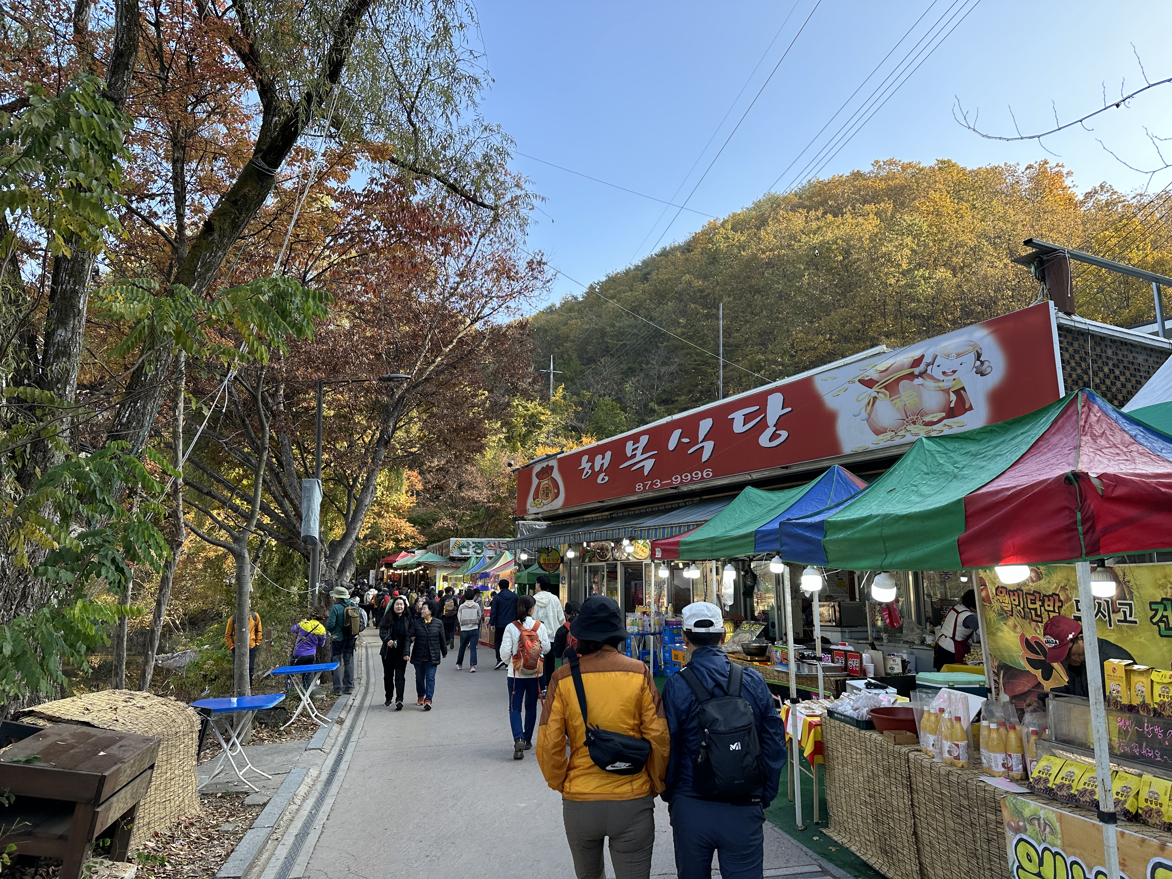 주왕산 가을산행 등산코스