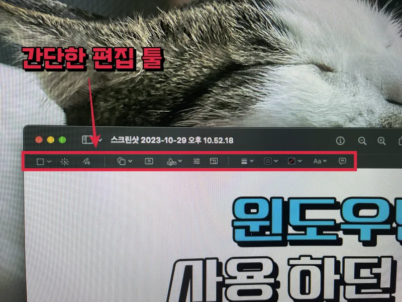 편집툴