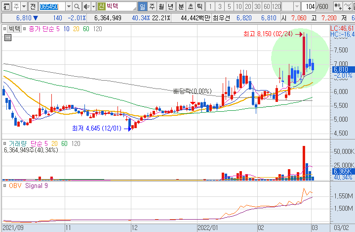 빅텍-주가-흐름-차트