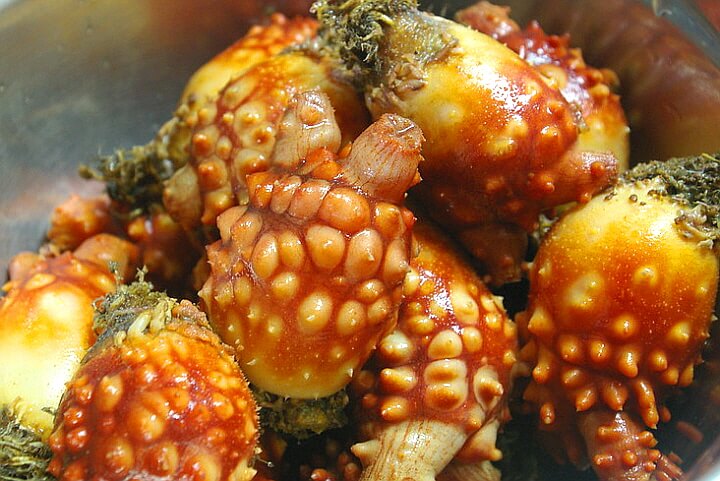  바다의 꽃이라 불리는 멍게