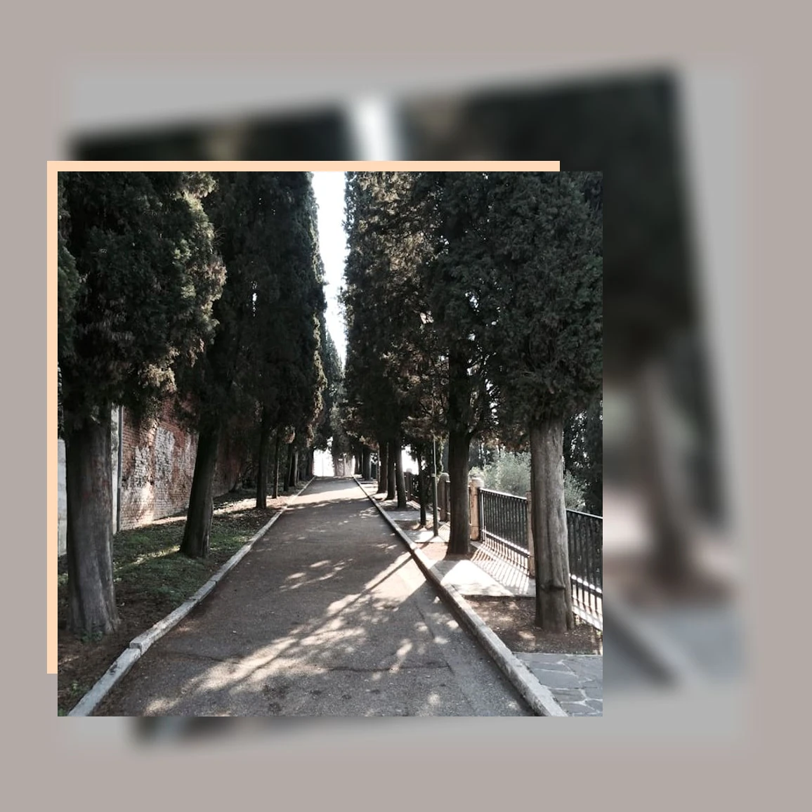 스카가 오메가 3_3_subsection