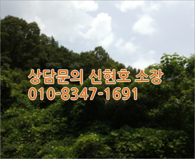 경북 영천 임야 매매 [2021타경4956] 경북 영천시 2