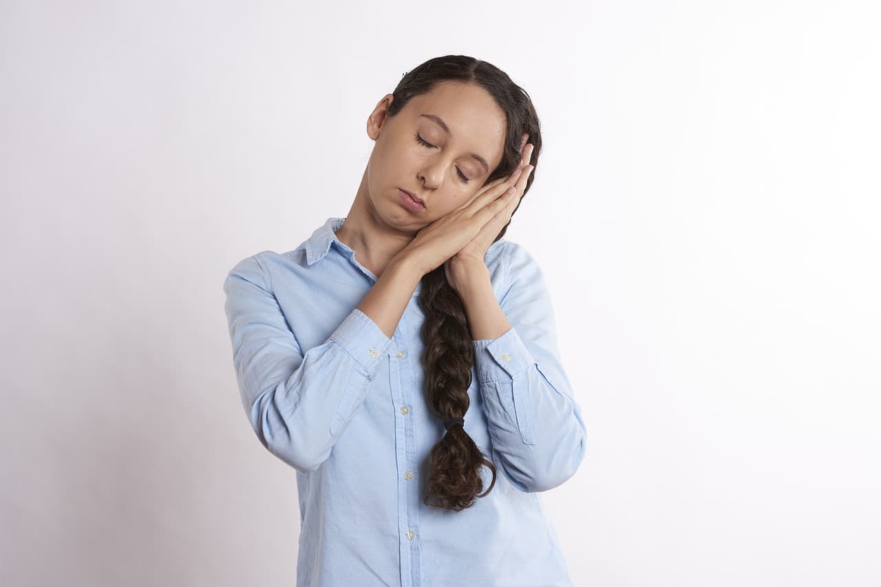 다중 수면 압력 모델(Multi-Pressure Sleep Model): 수면 항상성과 서카디언 리듬의 통합 이론