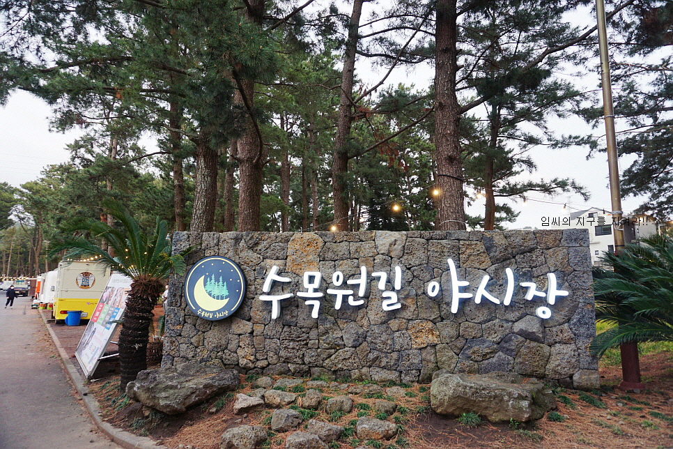 저녁에 가볼만한곳 야간 명소 제주 수목원길 야시장 제주도 27