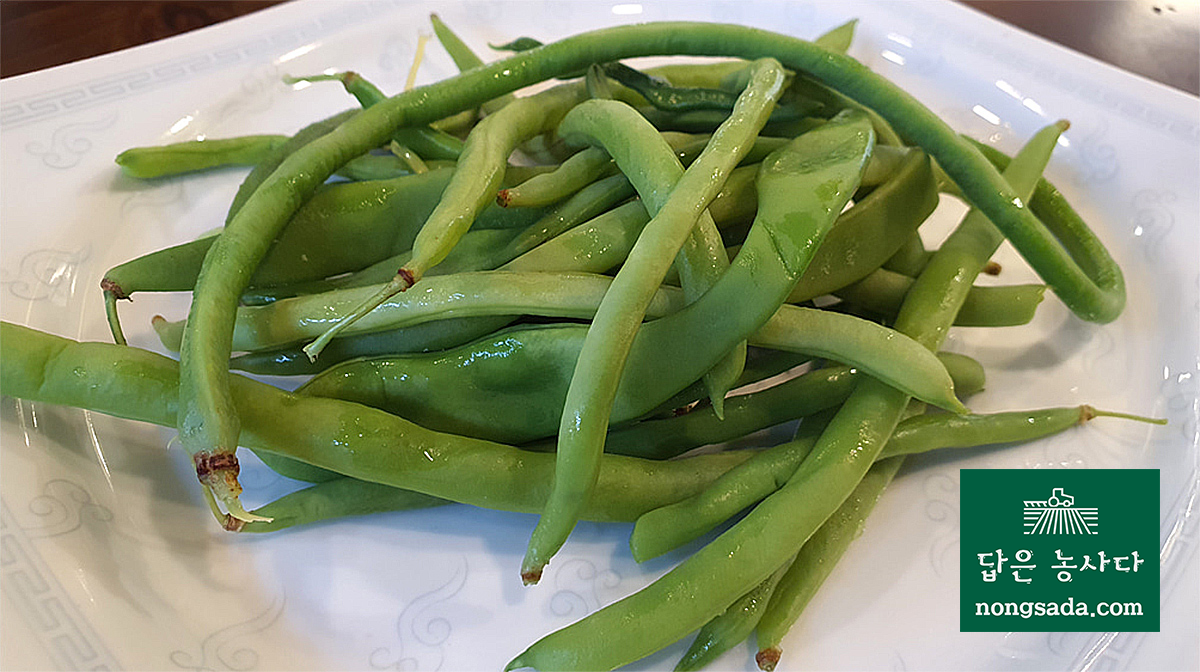 채두(줄콩) 씨앗종자: 길고 아삭한 맛의 채두콩