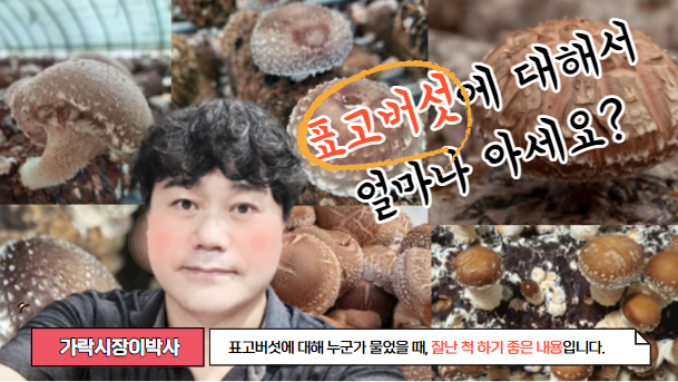  표고버섯에 대해서 이 정도는 알아야G~