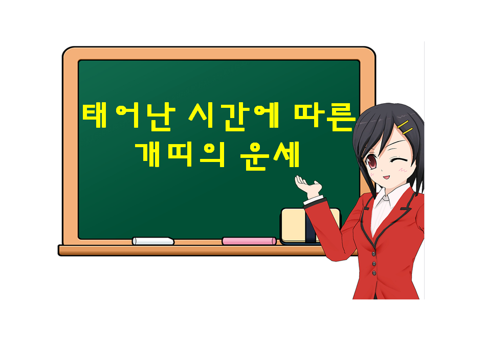  개띠,  태어난 시간에 따른 운세가 궁금하다면?