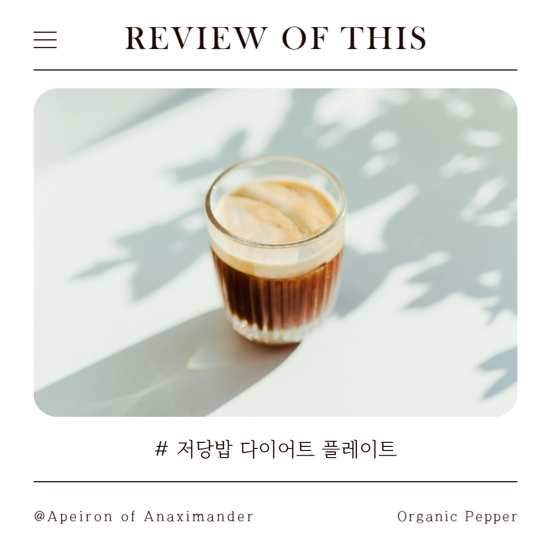 하이디어랩 저당밥 다이어트 플레이트 리뷰