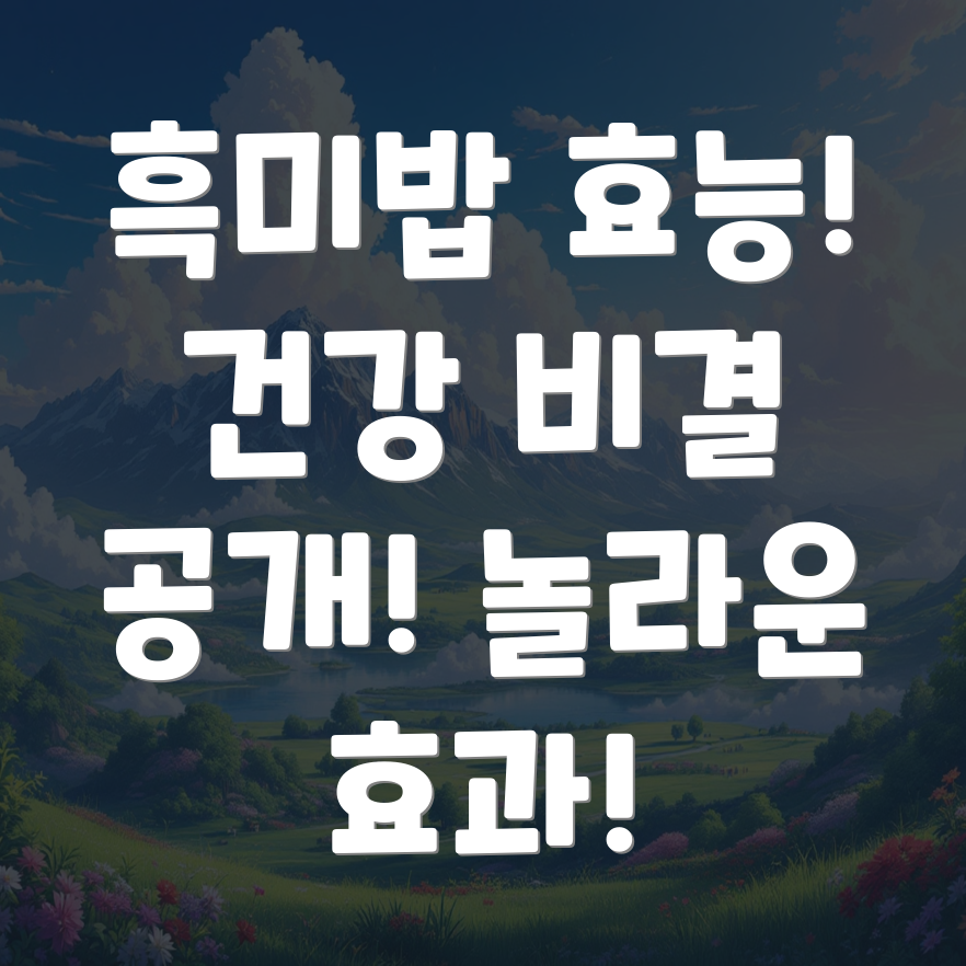 흑미밥 효능