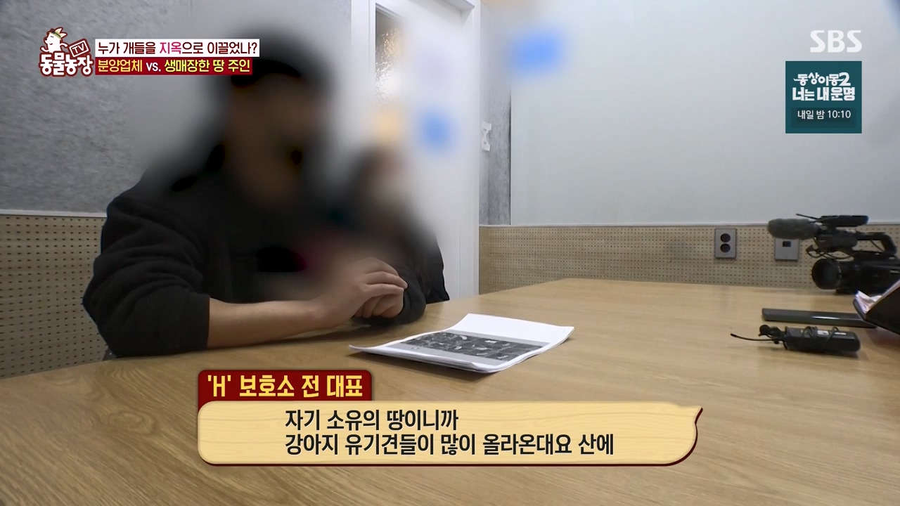 TV 동물농장.E1122.230529p-NEXT.mp4_20230528_170307.071.jpg