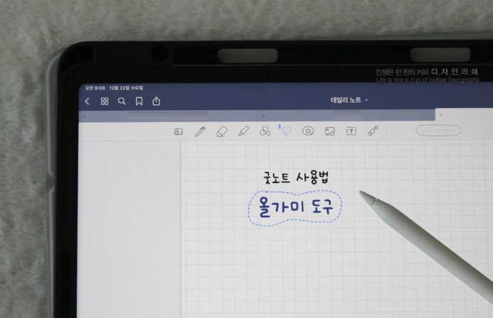 올가미 도구 활용 이미지