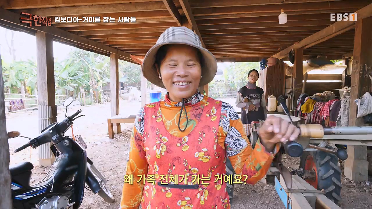 TV - 전 국민의 평생학교 EBS캄보디아 - 독충을 잡는 사람들.mp4_20230501_173356.968.jpg