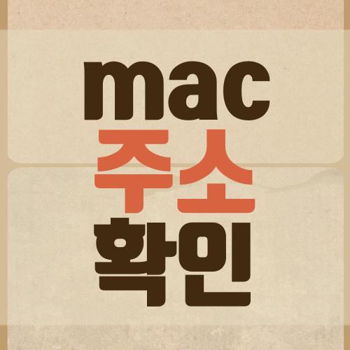 mac 주소 확인