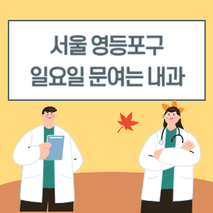 서울 영등포구 일요일 내과 진료 병원 리스트