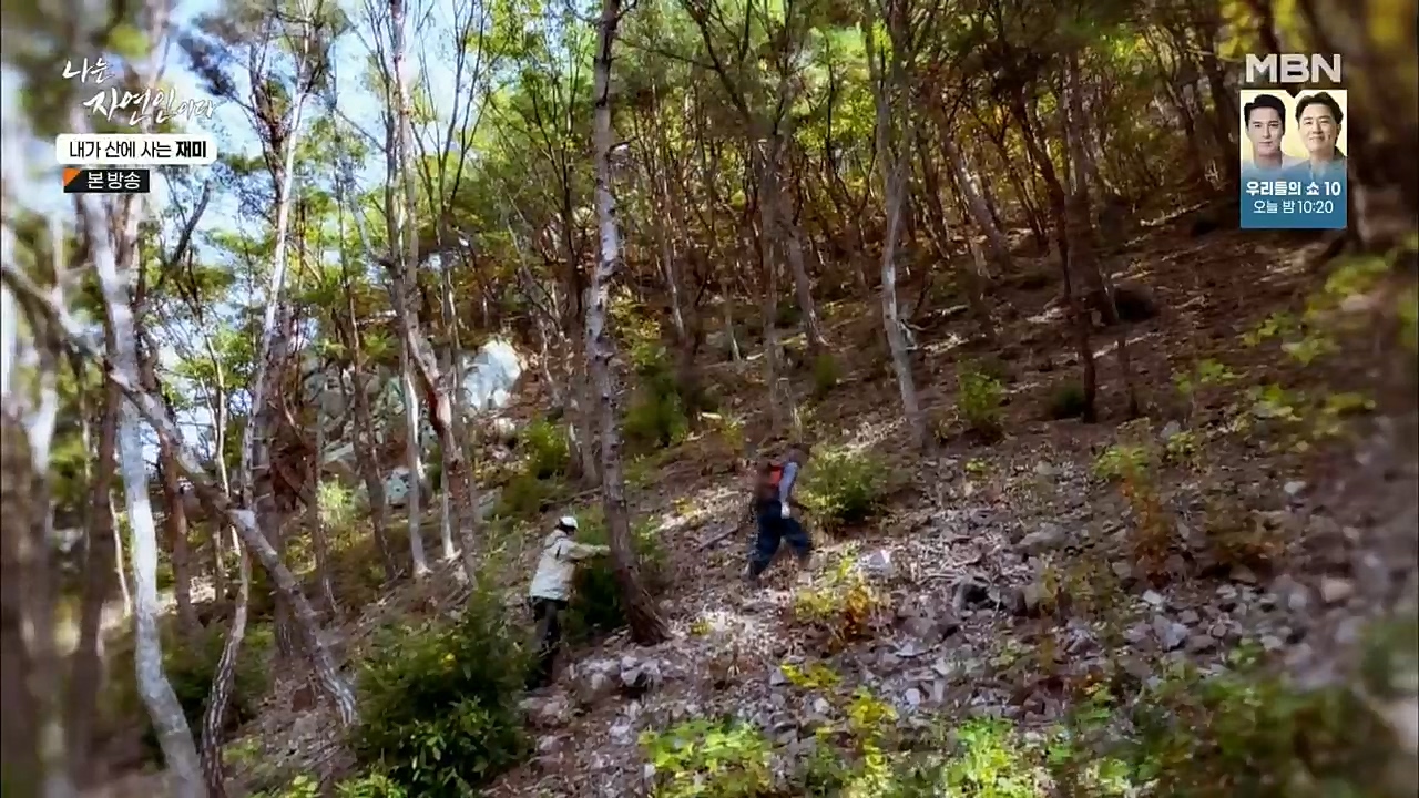 나는 자연인이다.E529.221124p.H264-F1RST.mp4_20221124_194713.899.jpg