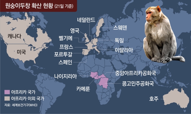  WHO 원숭이두창 감염 사례와 미국 증시 [Monkeypox]