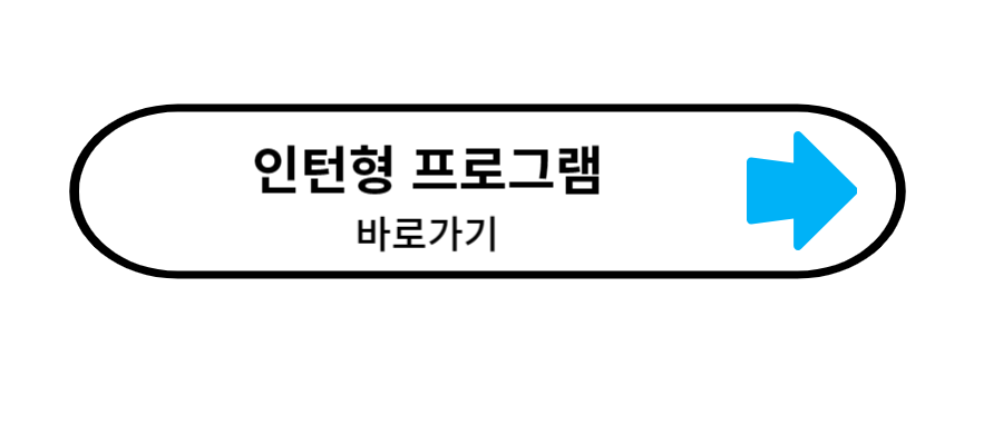 인턴형 프로그램