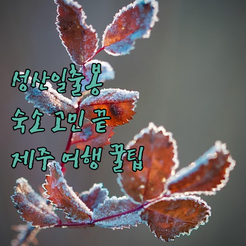 성산일출봉 근처 숙소 고민 끝! 당신