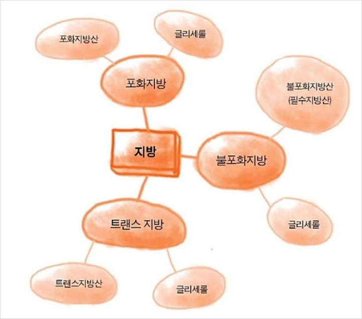 슈퍼라이프 이미지