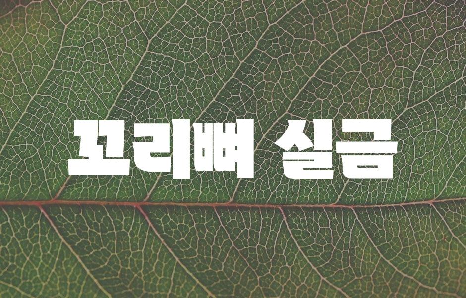 샘플 (43)