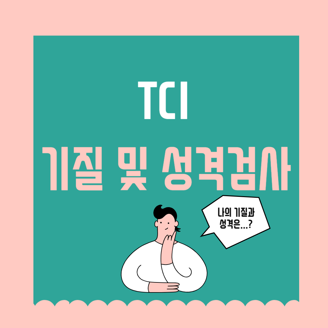 TCI 기질 및 성격검사