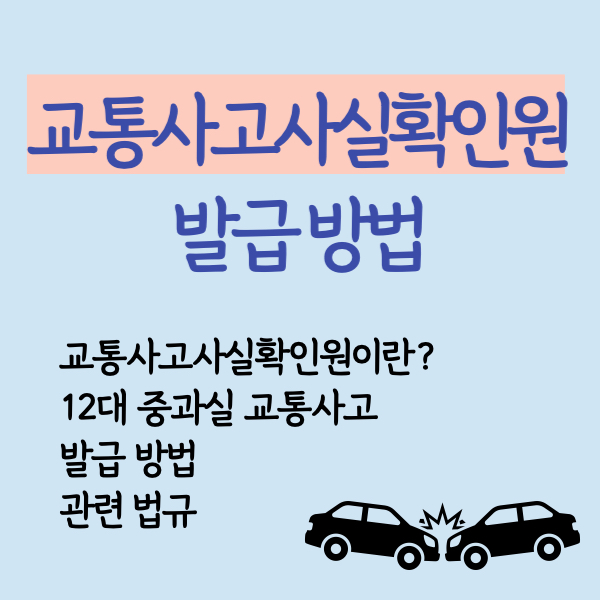 교통사고사실확인원 발급
교통사고사실확인원신청