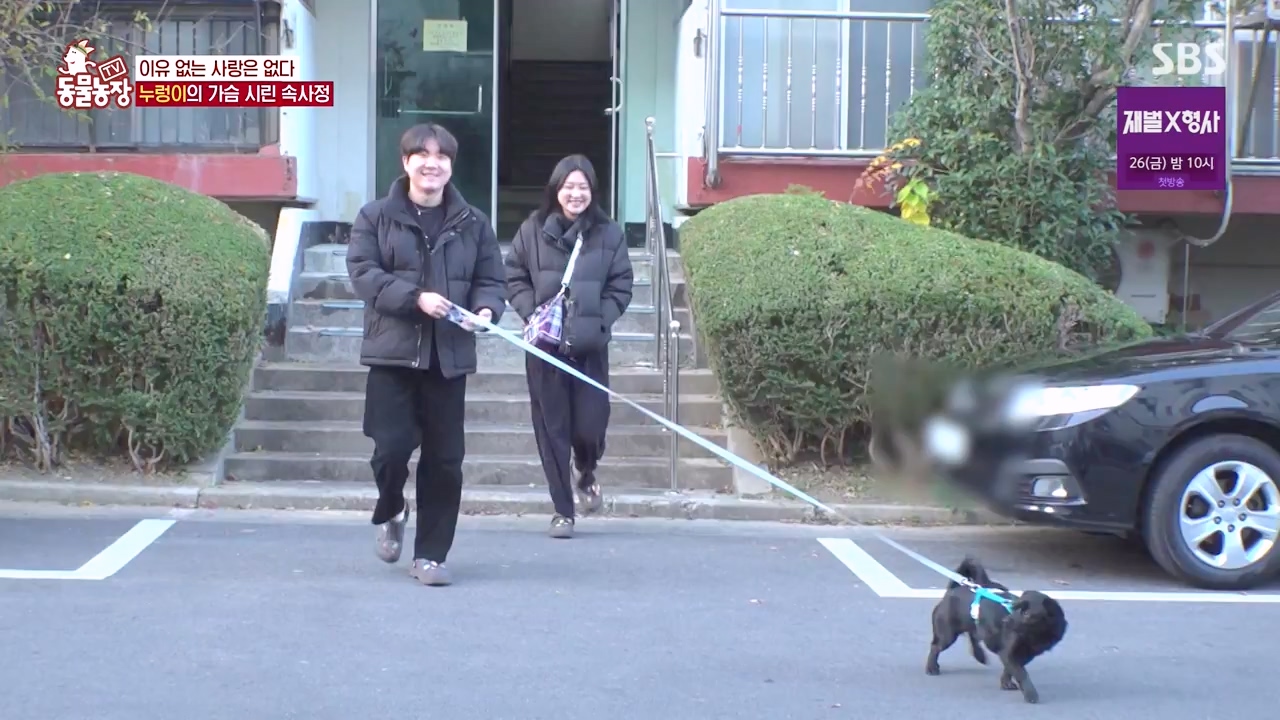 TV 동물농장.E1154.240115p-NEXT.mp4_20240114_184402.149.jpg