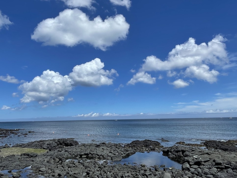 가족여행 저렴하게 대절 굿 제주도 승합차 투어 1