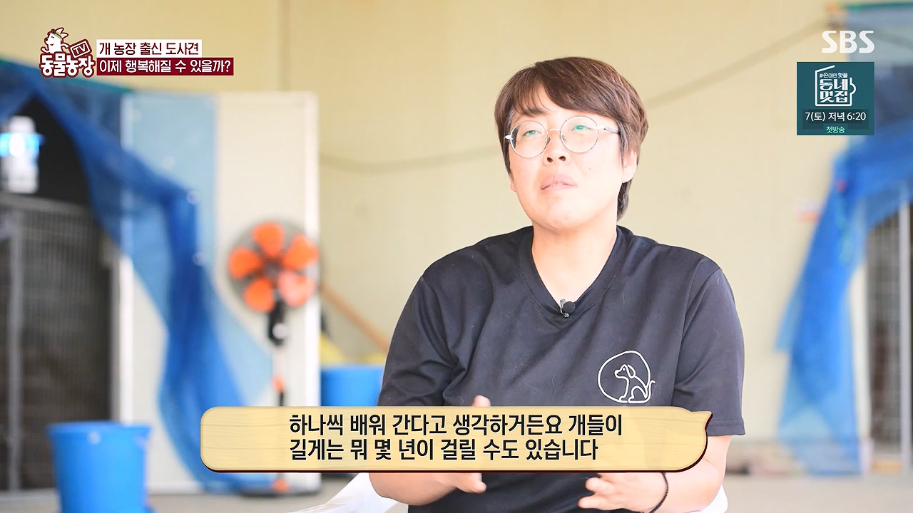 TV 동물농장.E1187.240902p-NEXT.mp4_20240901_155512.225.jpg