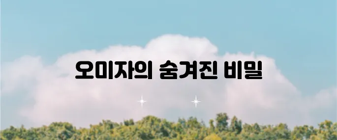 오미자의 12가지 효능과 부작용 주의사항 살펴보기!