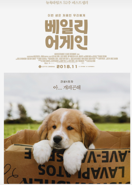 영화 &lt;베일리 어게인&gt; 관련 사진