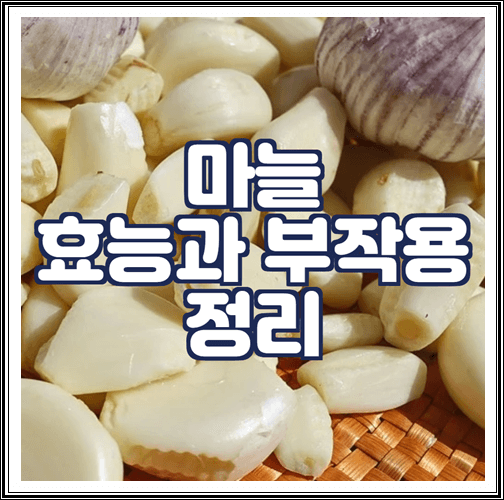  마늘 효능과 부작용 정리
