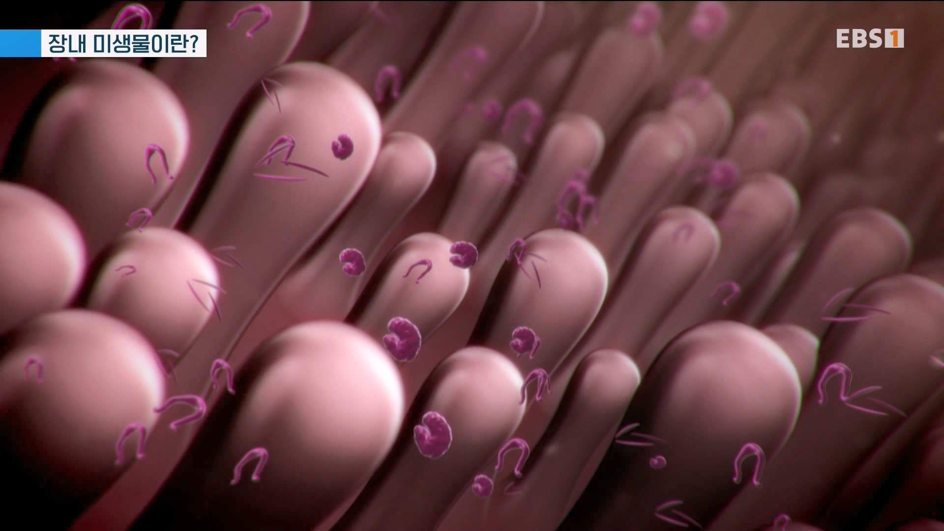 잘 먹고 잘 싸는 법 240323.mp4_20240324_174702.641.jpg