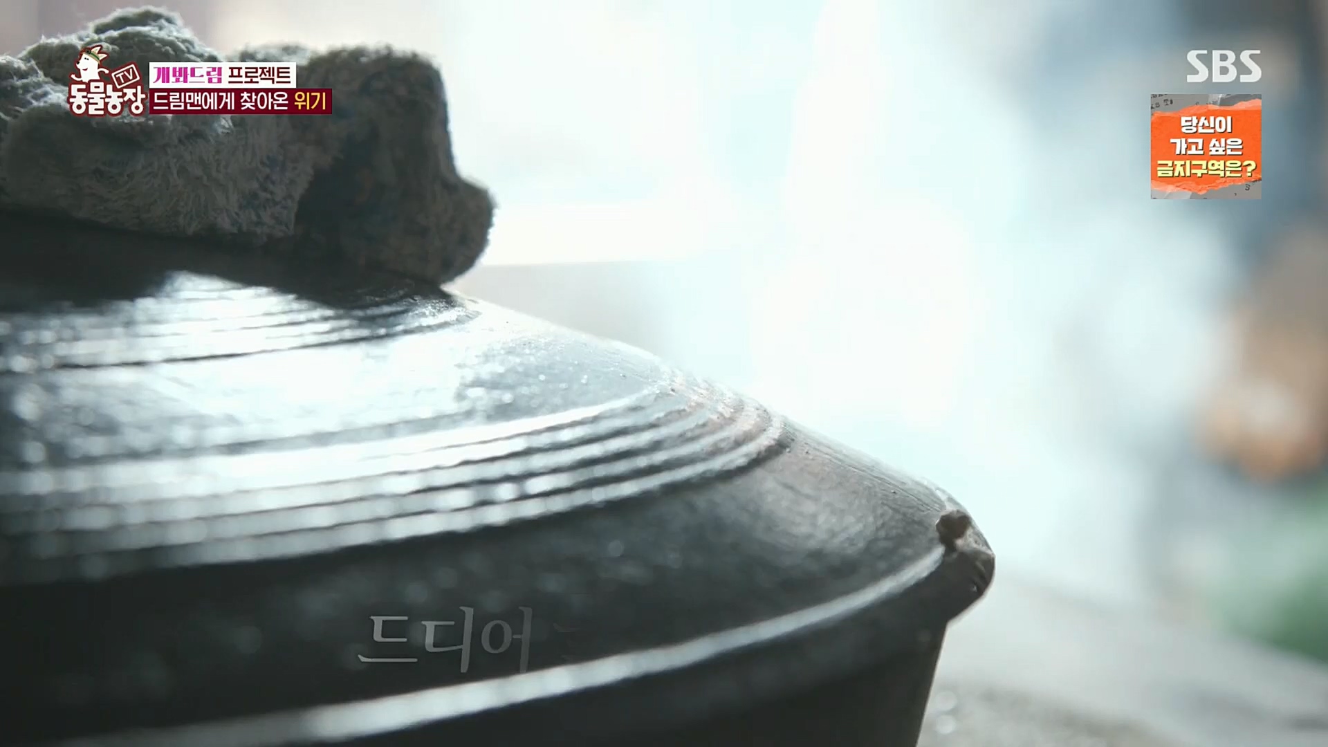 TV 동물농장.E1102.230101p.H264-F1RST.mp4_20230101_182853.054.jpg