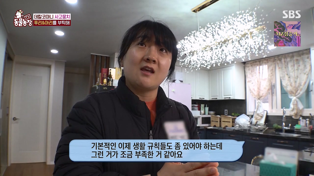 TV 동물농장.E1175.240610p-NEXT.mp4_20240609_160235.239.jpg