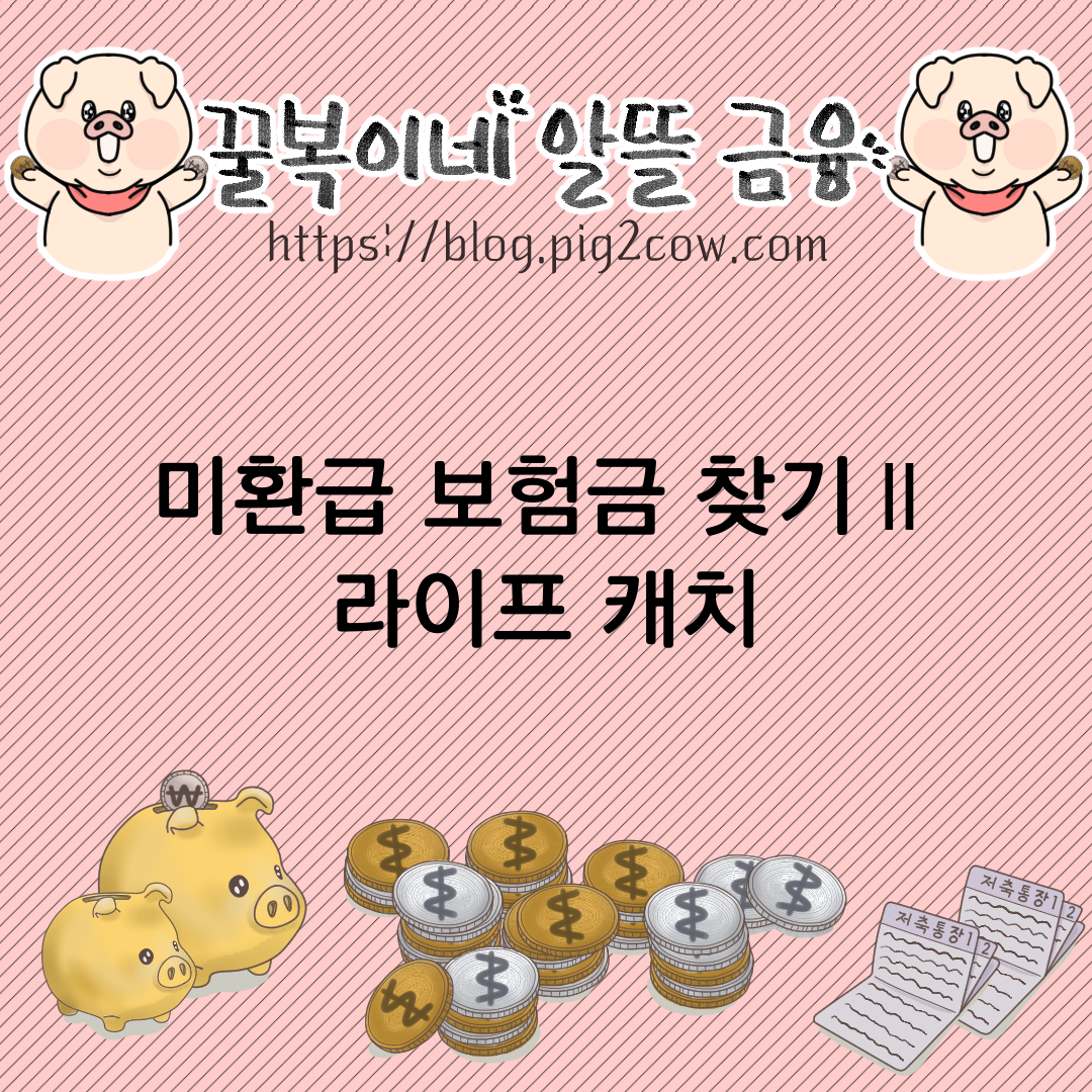  숨어있는 보험금  환급 받기 Ⅱ - 라이프 캐치