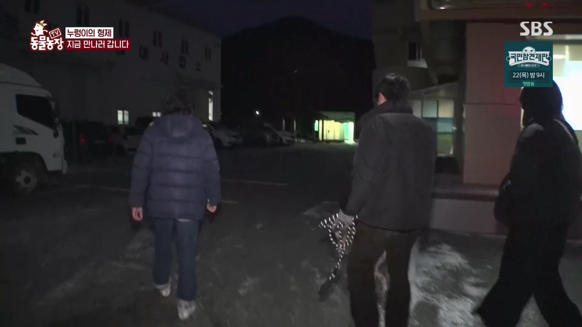 TV 동물농장.E1158.240211p.H264-F1RST.mp4_20240211_194051.551.jpg