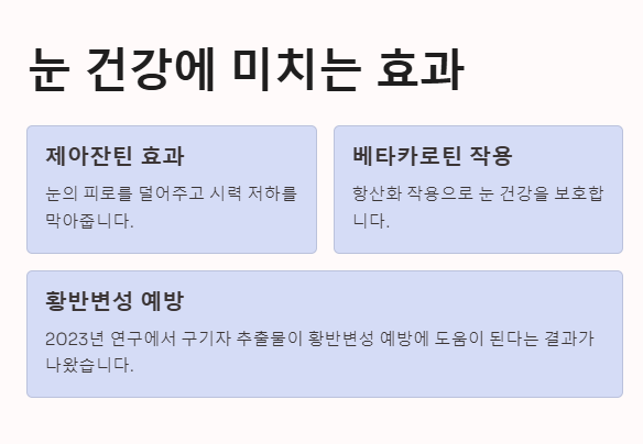 구기자의 효능&amp;#44; 눈건강