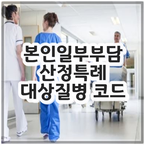 본인일부부담 산정특례 대상질병 코드