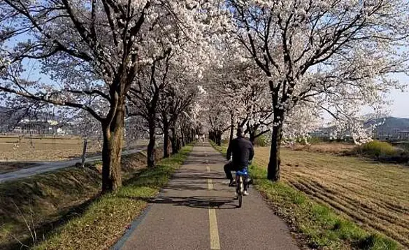 뱃들공원