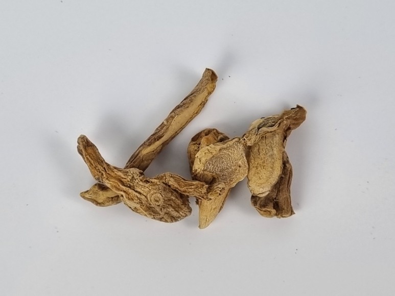 핑거루트 효능 판두라틴 건재 5