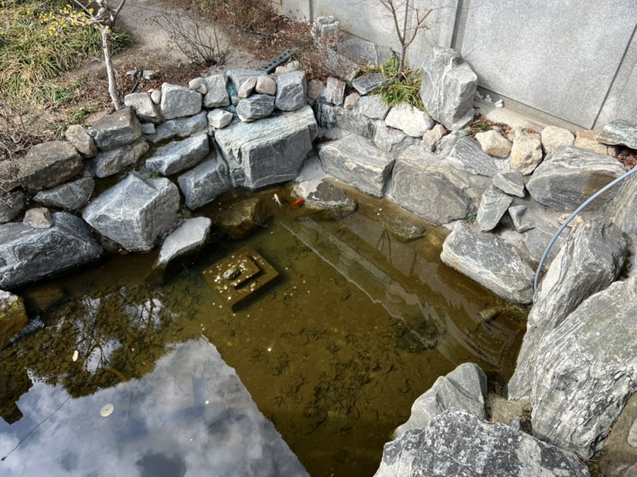 혼자가기좋은 42