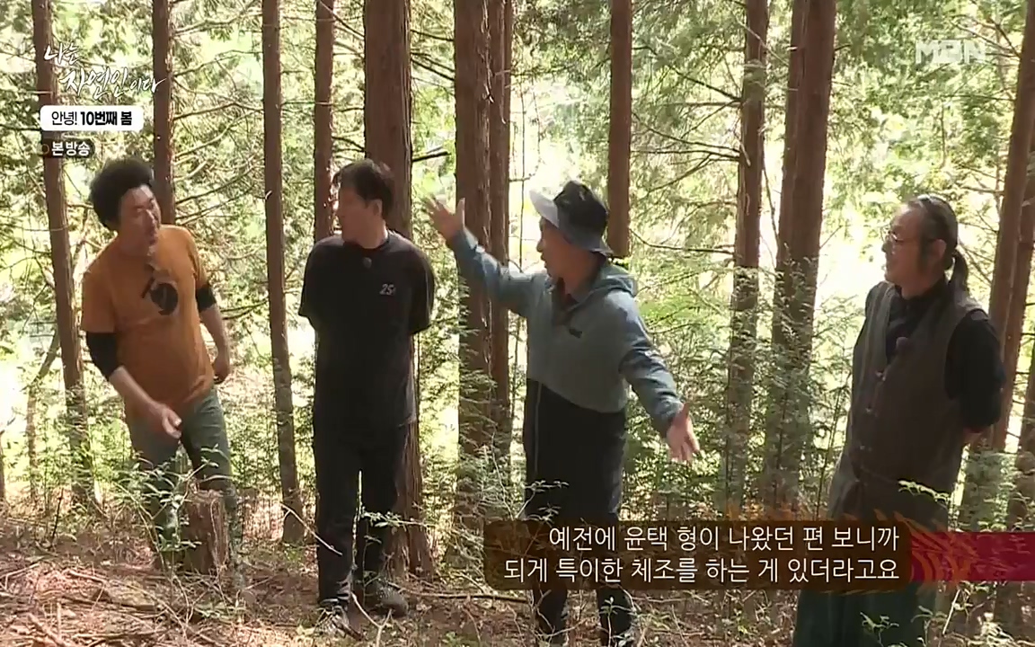 나는 자연인이다.E500.220505p-NEXT.mp4_20220505_180236.773.jpg